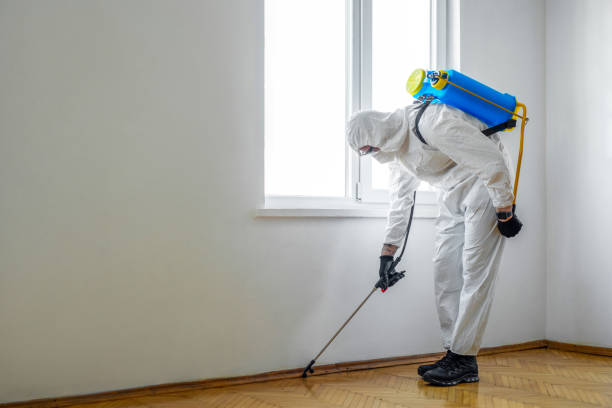 Professional Pest Control in Trophy Clu, TX