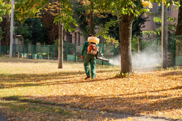 Best Exterminator Services  in Trophy Clu, TX
